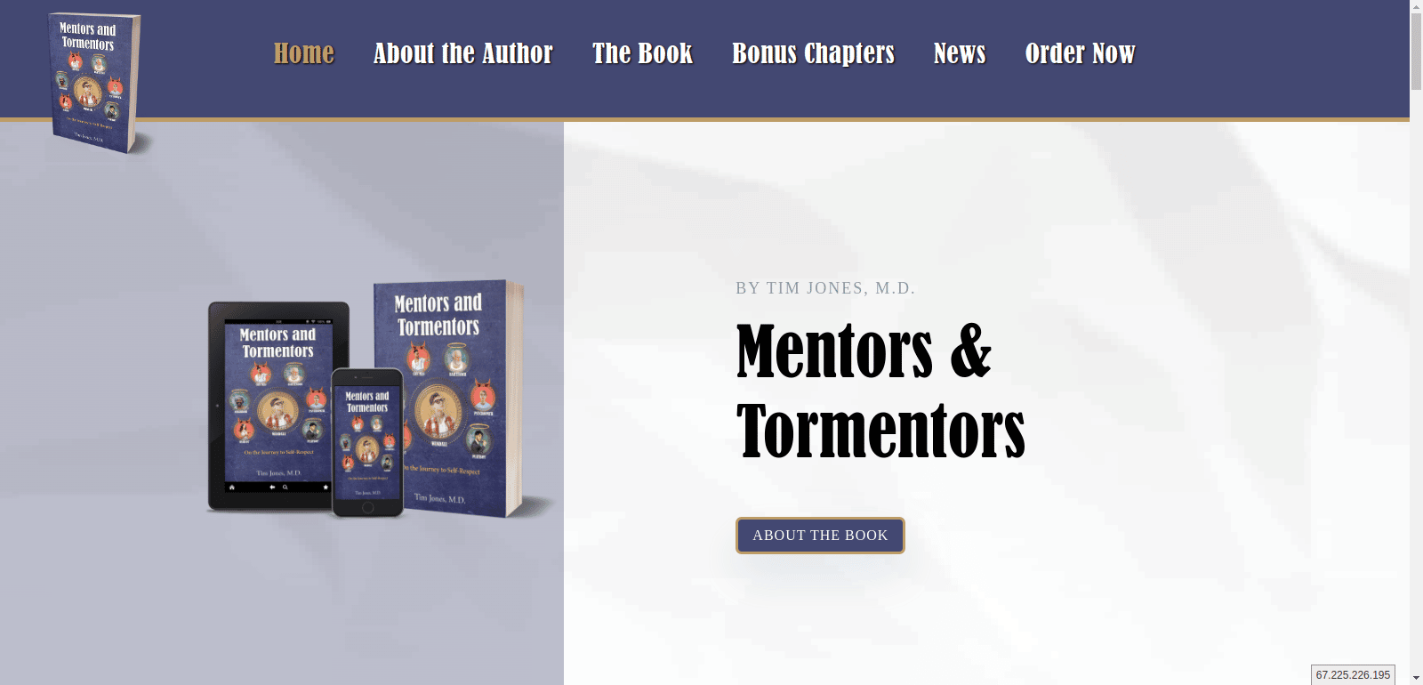 Building A Website For A Book Release