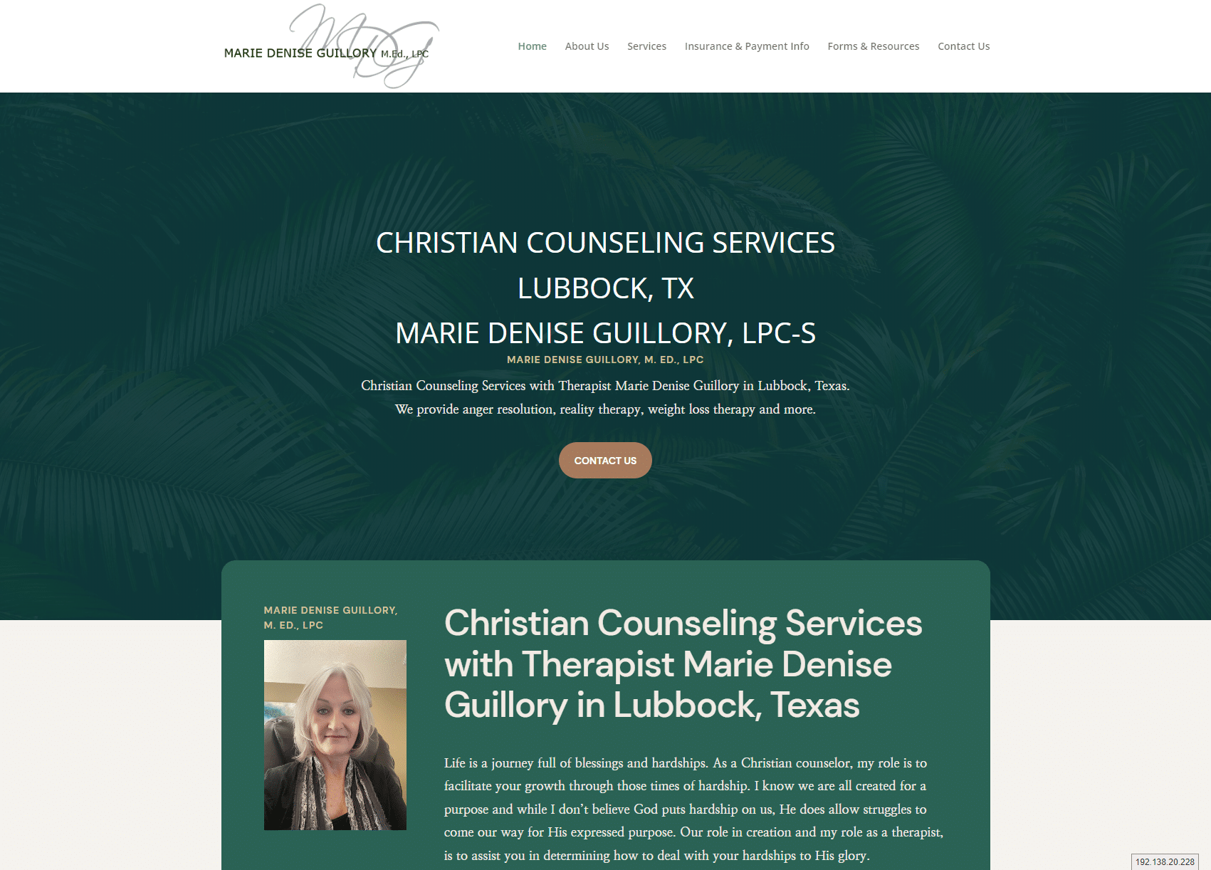 website for my counseling practice