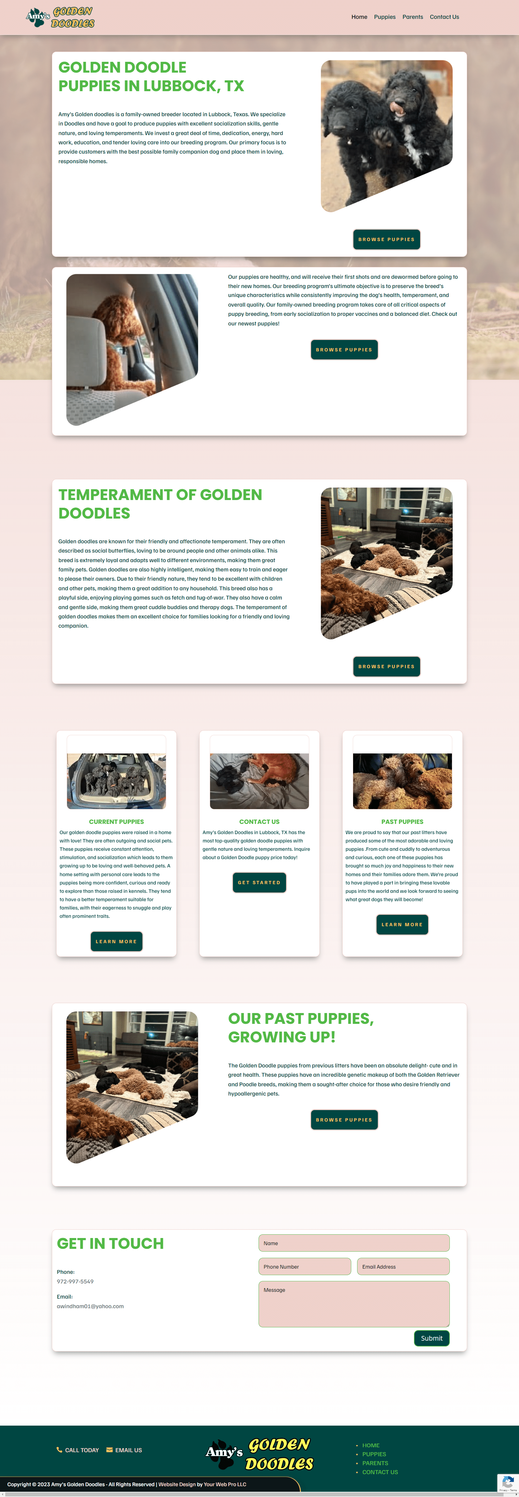 golden doodle website