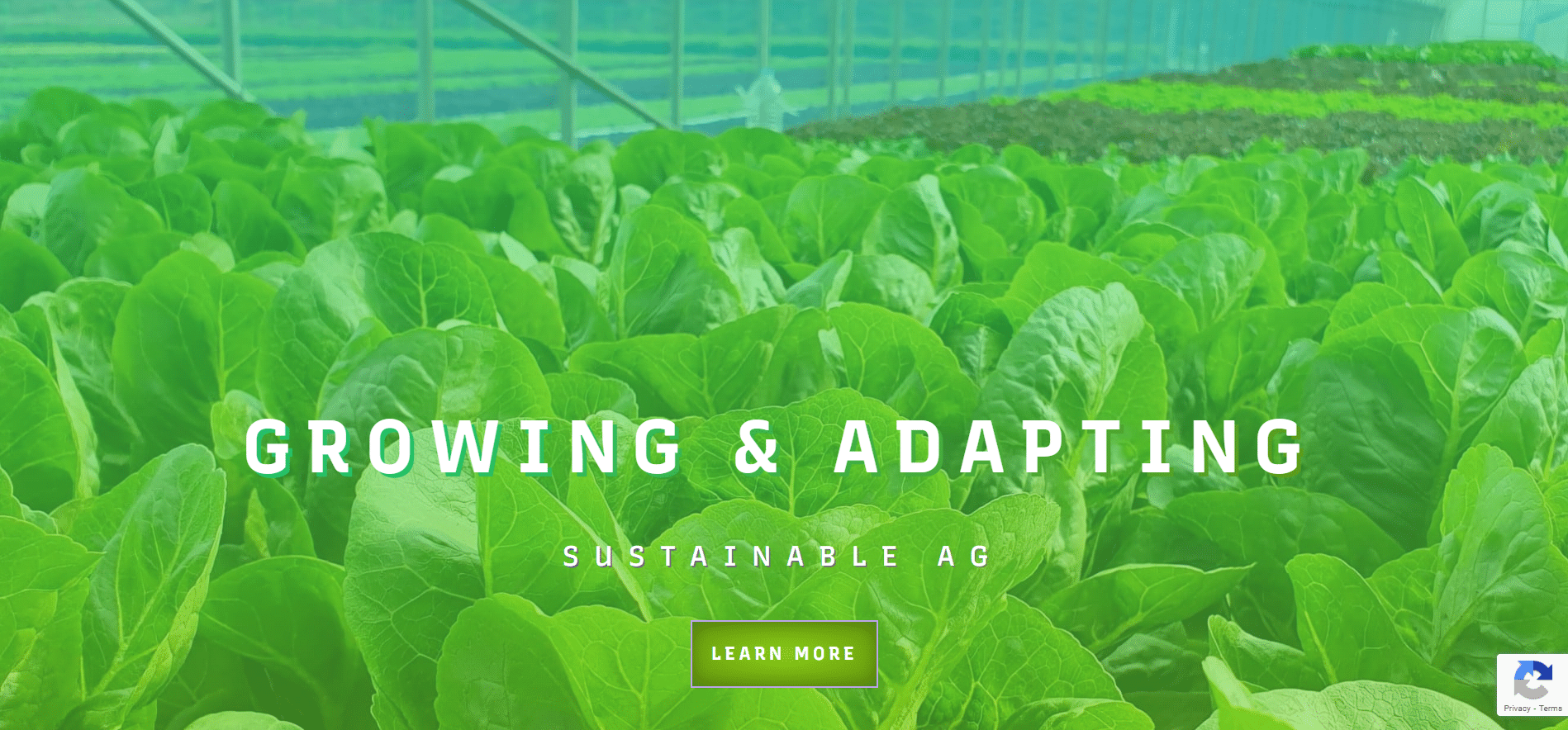 new website