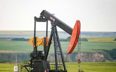 Get Found Locally in the Oil City: Effective Local Listing Management in Midland, TX