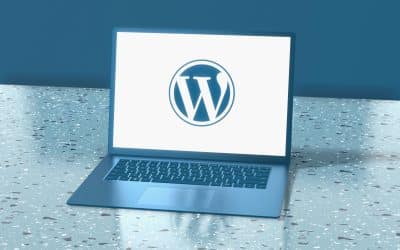 Beyond the Basics: Understanding the Power of Secure Web Hosting for Your Lubbock Business
